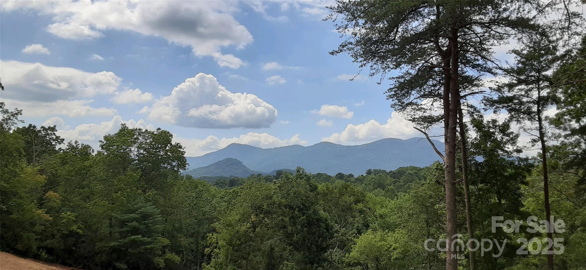 NO WELL NEEDED - NEW WELL INSTALLED IN 2024!!  Unrestricted 8.03 acres with beautiful mountain views.  Grading/site prep has been completed.  Perfect property for year round residence or vacation home.  This unrestricted property is conveniently located. RV's permitted, vacation rentals, whatever best suits your needs!