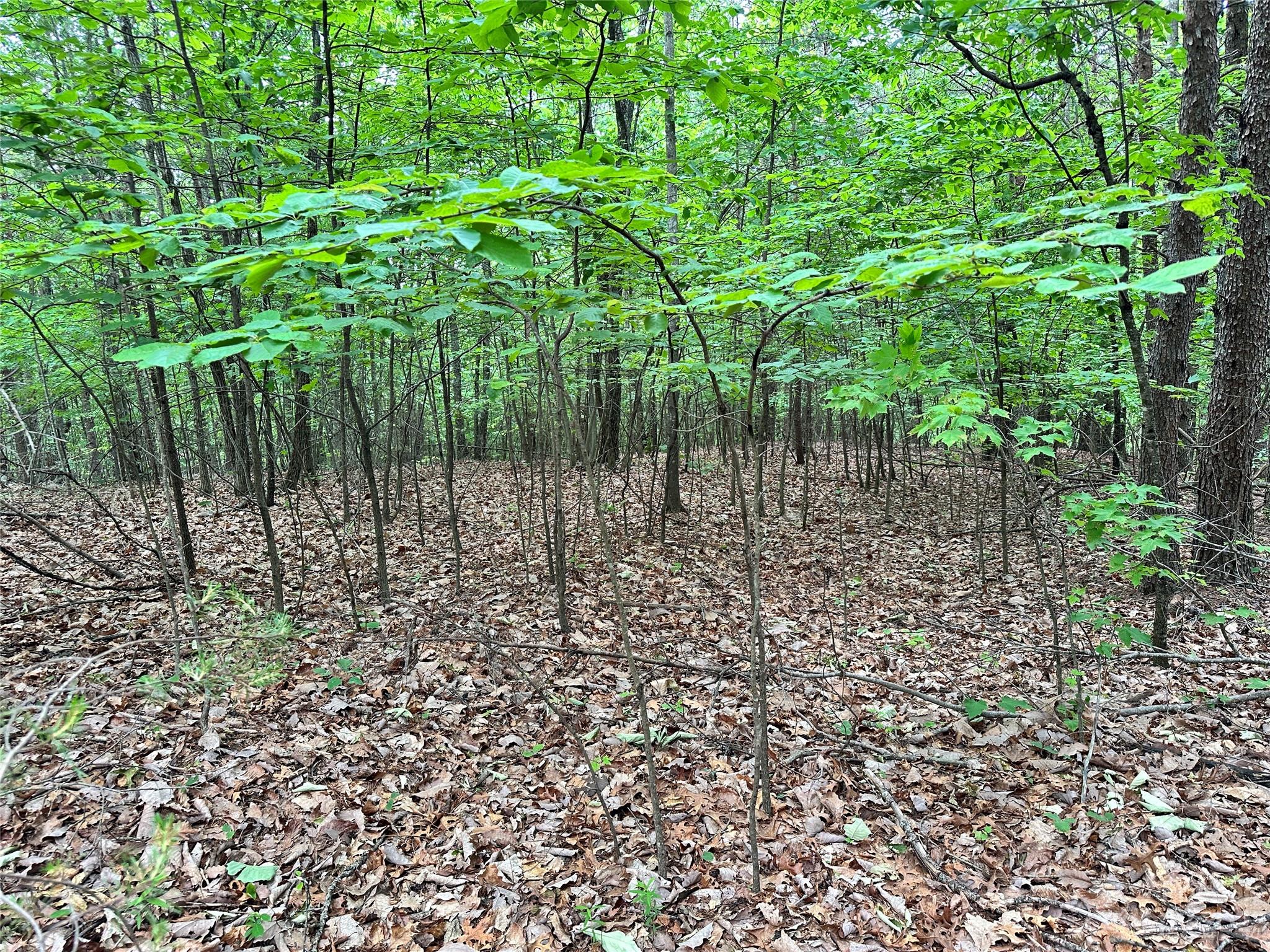 0 Grouse Ridge Drive 16