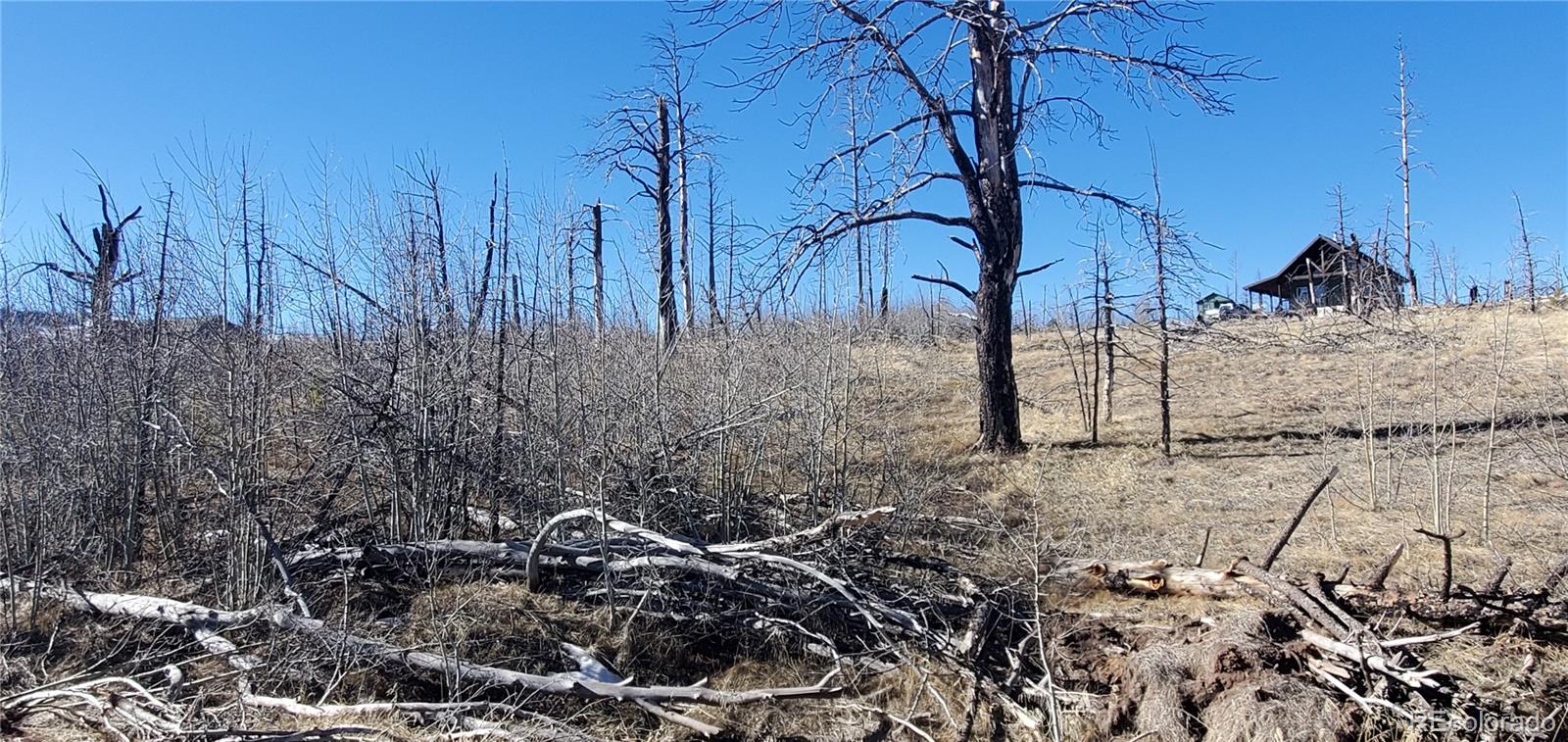 Lot 1566 Cary Lane