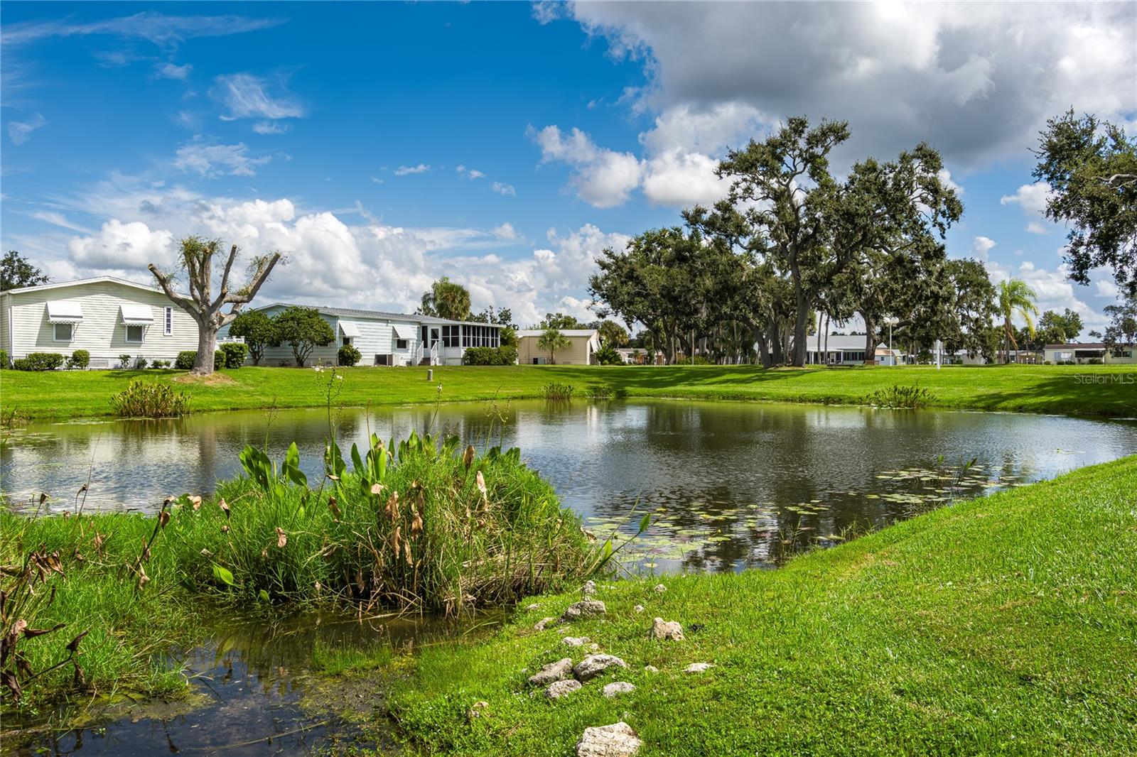 120 Mockingbird Lane