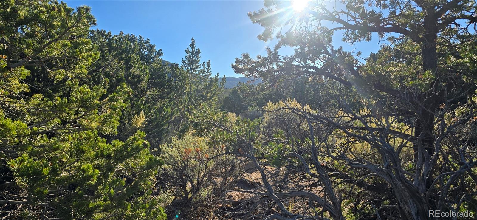 Lot 1361 Dunn Road