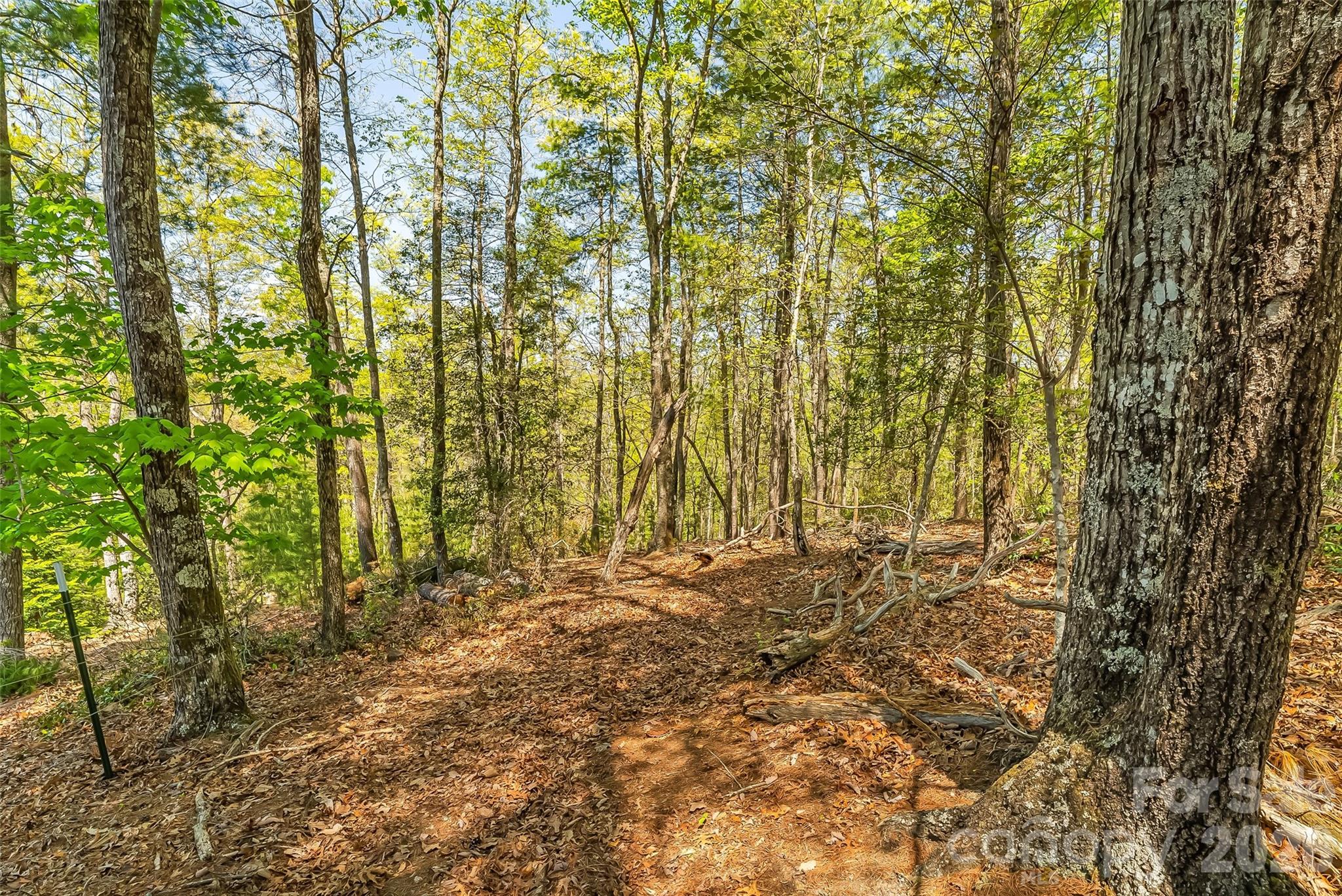 1006 High Trail Drive 32-11