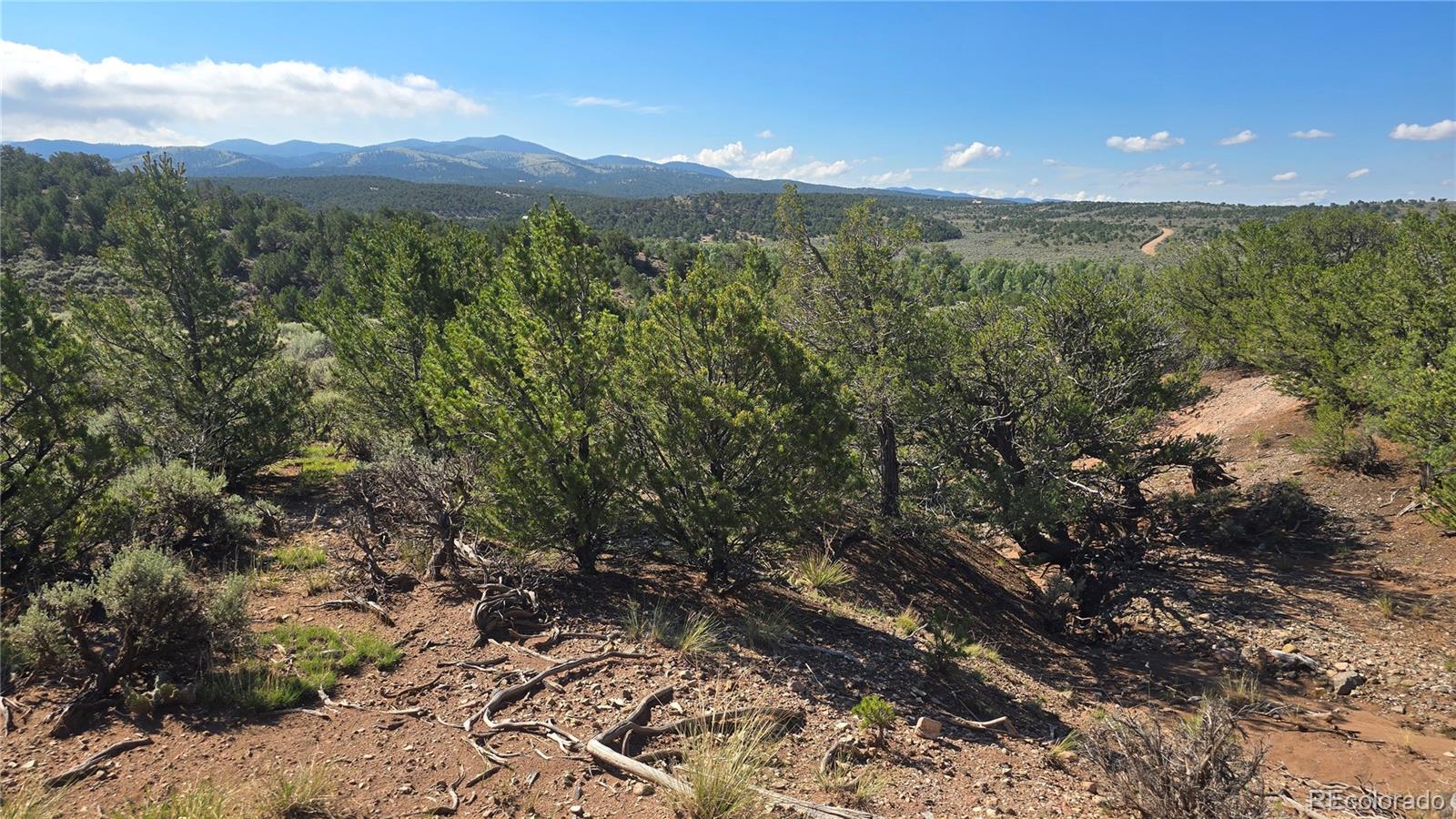 Lot 4296 Renfield Road