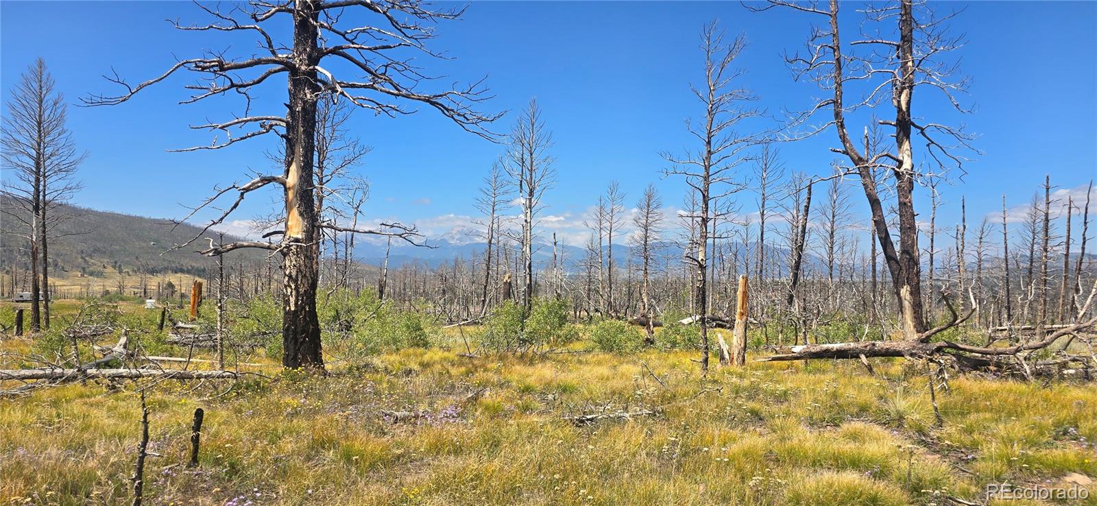 Lot 1242 Granville Loop