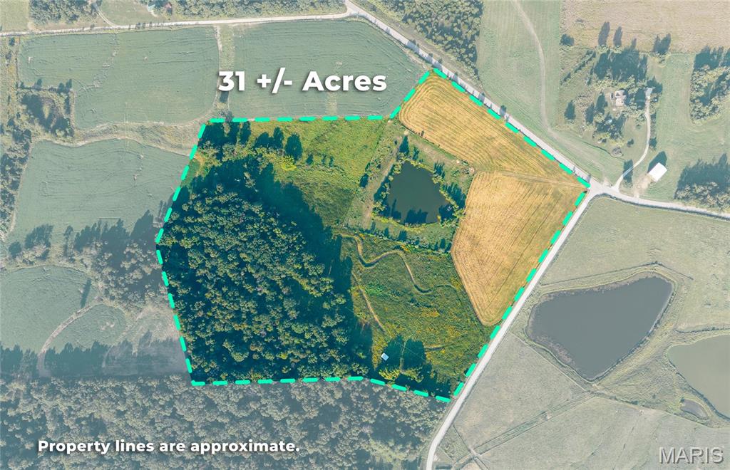 Approximately 30 acres of open space, ready for its next chapter! This versatile property offers a combination of open ground, tillable acreage, wooded space, a pond, electricity, and a well, providing the foundation for a variety of possibilities. Approximately 15 acres are currently tillable, with the potential for additional acreage to be brought into production with the right amount of work. Roughly 9 acres are wooded, offering privacy, natural beauty, and recreational possibilities, while the remaining acreage provides plenty of open space for you to develop. A 1-acre pond adds to the property's appeal and provides a beautiful focal point, while the existing well and electric service offer valuable amenities already in place. Whether you're looking for additional agricultural ground, recreational property, space for livestock, a place to build, or simply room to spread out and enjoy the outdoors, this property offers the acreage and flexibility to bring your vision to life. Wide open and ready for the next buyer, come take a look and imagine the possibilities!