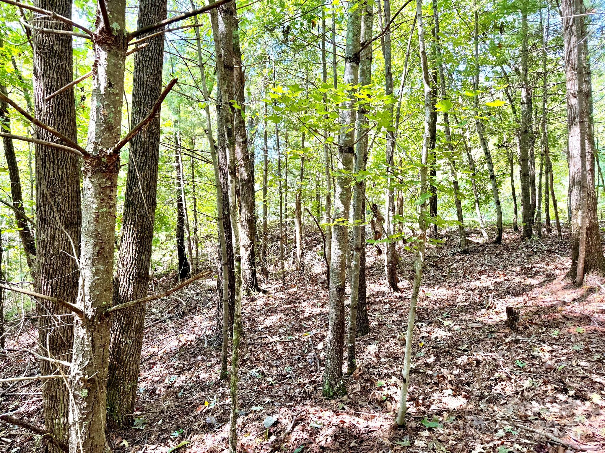 3.31 acres, Lot 37 Poplar Bluff Drive SE 37