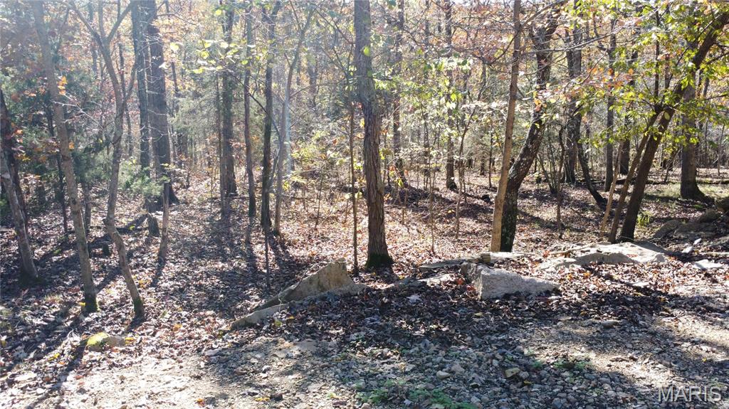 10256 Christina Trail