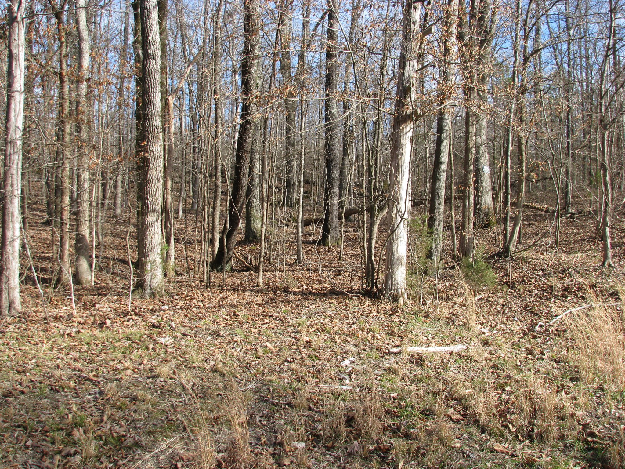 0 Cuba Landing Rd