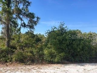 713 (BLK 123 LOTS 15&16) Camellia Drive