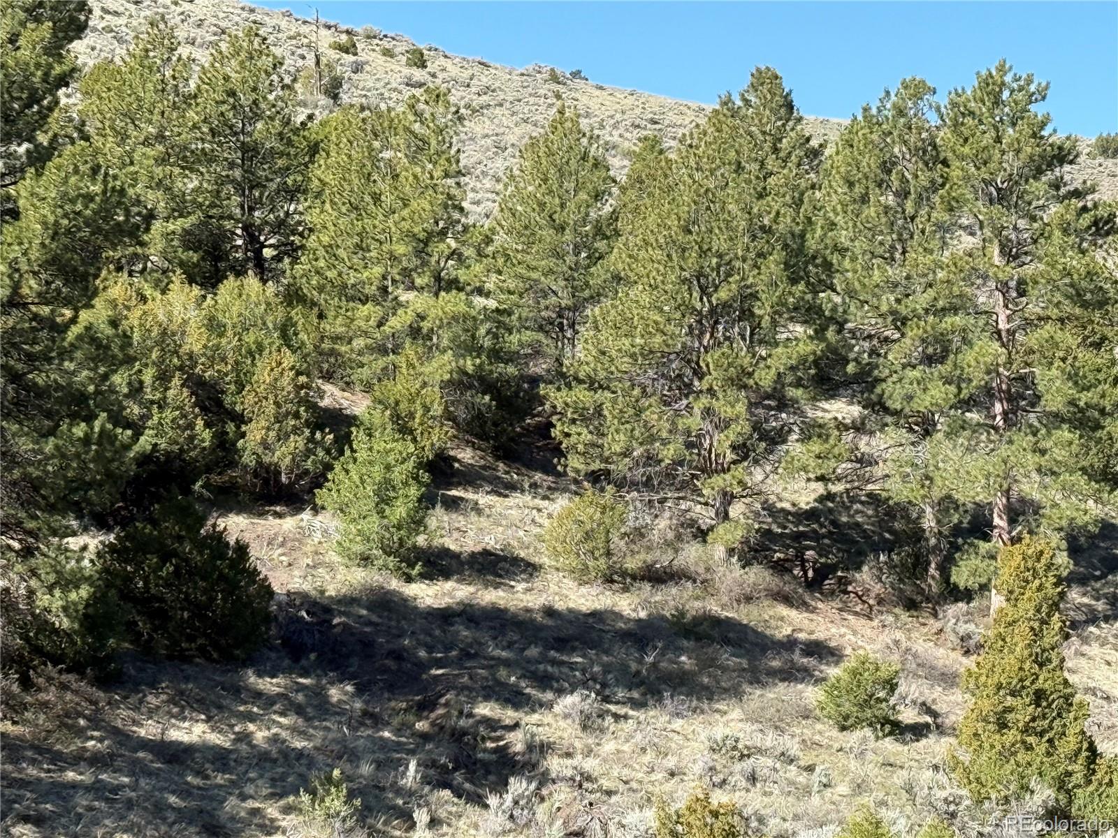 Lot 4918 Jaffe Road