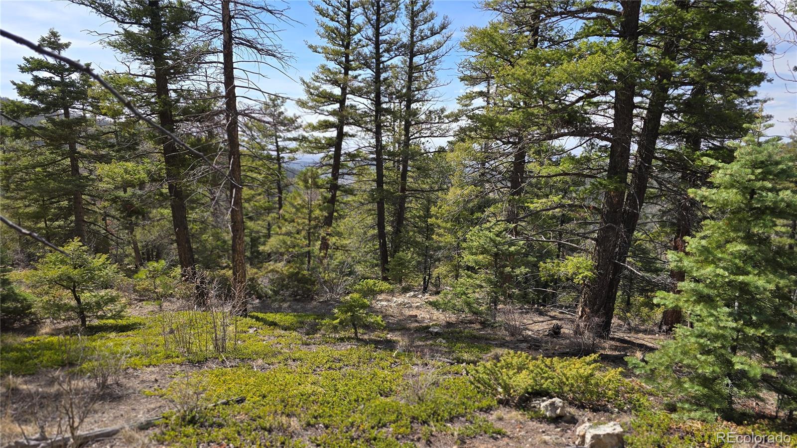 Lot 6070 Vreeland Road