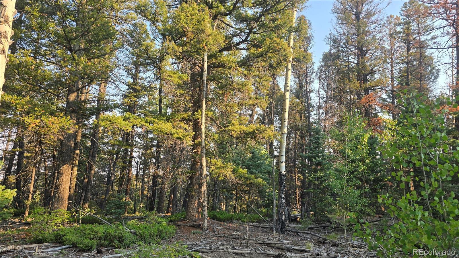 Lot 5768 Clawson Road