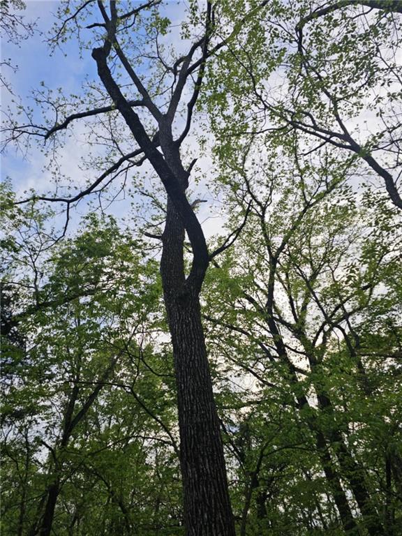 305 & 309 E Sugar Lake Drive