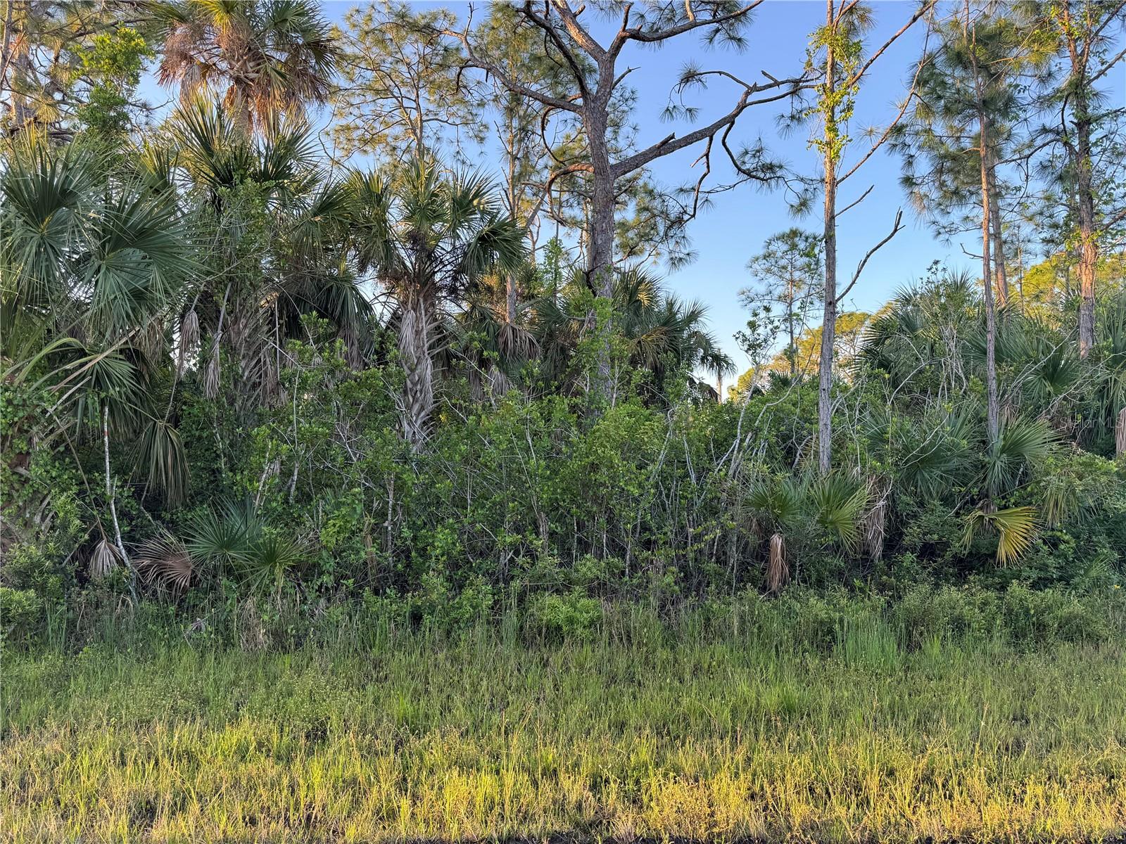 12071 Wadsworth Avenue