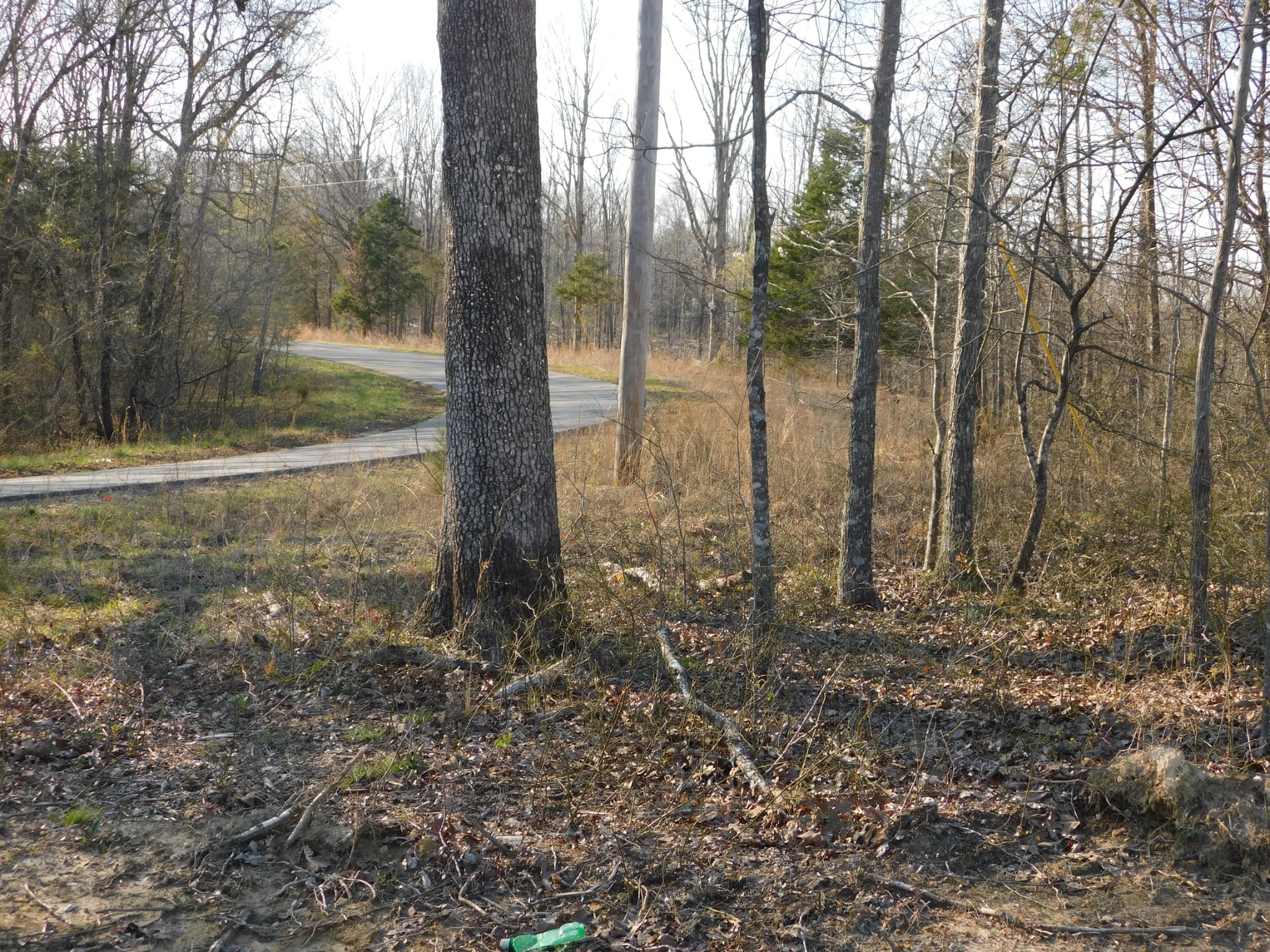 0 Lucas Ridge Road
