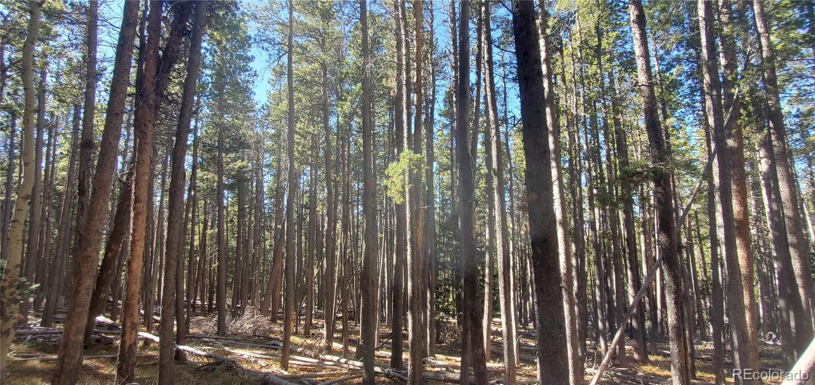Lot 2682 & 2683 Purnell Lane