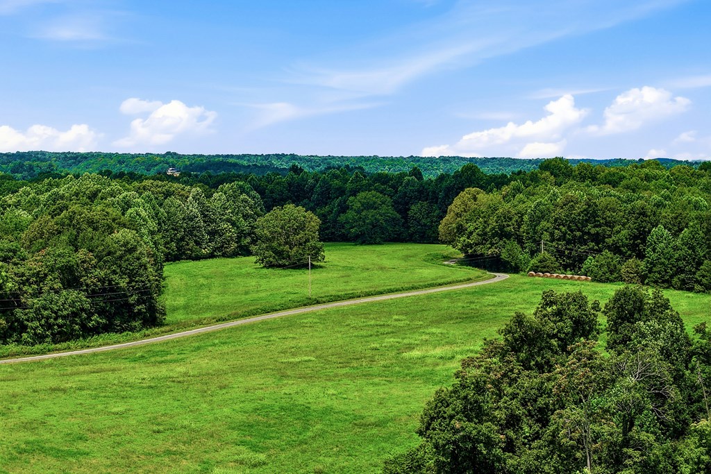 220+/-AC Hensley Cemetery Ln