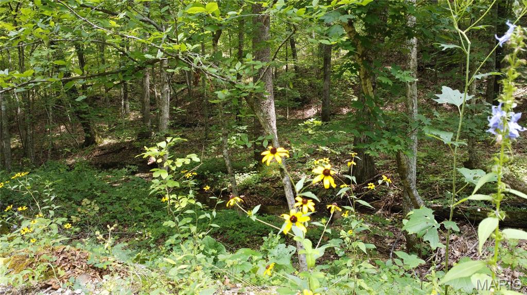 10223 San Juan Trail