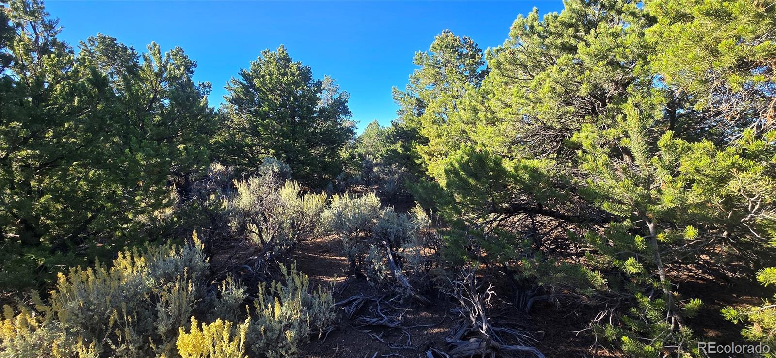 Lot 1361 Dunn Road