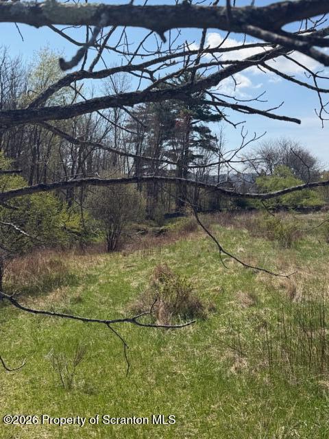 Lower Maple (1.62 Ac) Drive