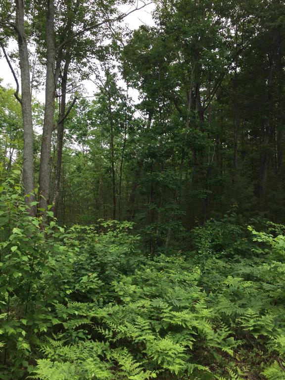 Beautiful wooded 10+ acres with deeded access to Dodge Lake, a No-Wake private lake, perfect for canoeing and paddle boarding.  Iron Bell trail runs along the entire East side of the property.  Great for running, biking or snowmobiling.  Property is located directly across US 27 from Heart Lake, an All-Sports lake with public access.  Heart Lake is the deepest lake in Otsego County.  Agent is related to Seller.