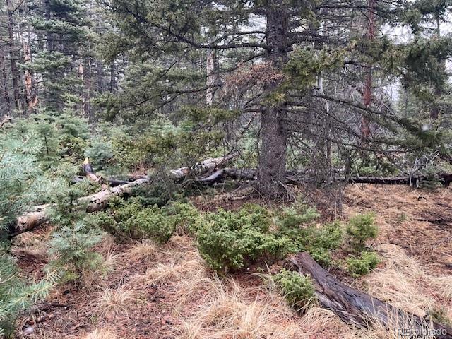 Lot 3091 Sterenson Place