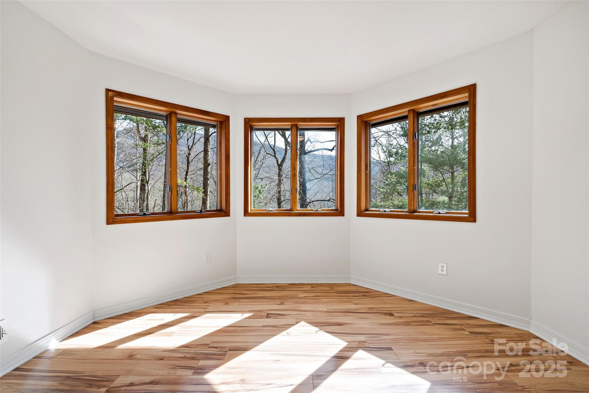 249 Starlin Mountain Road