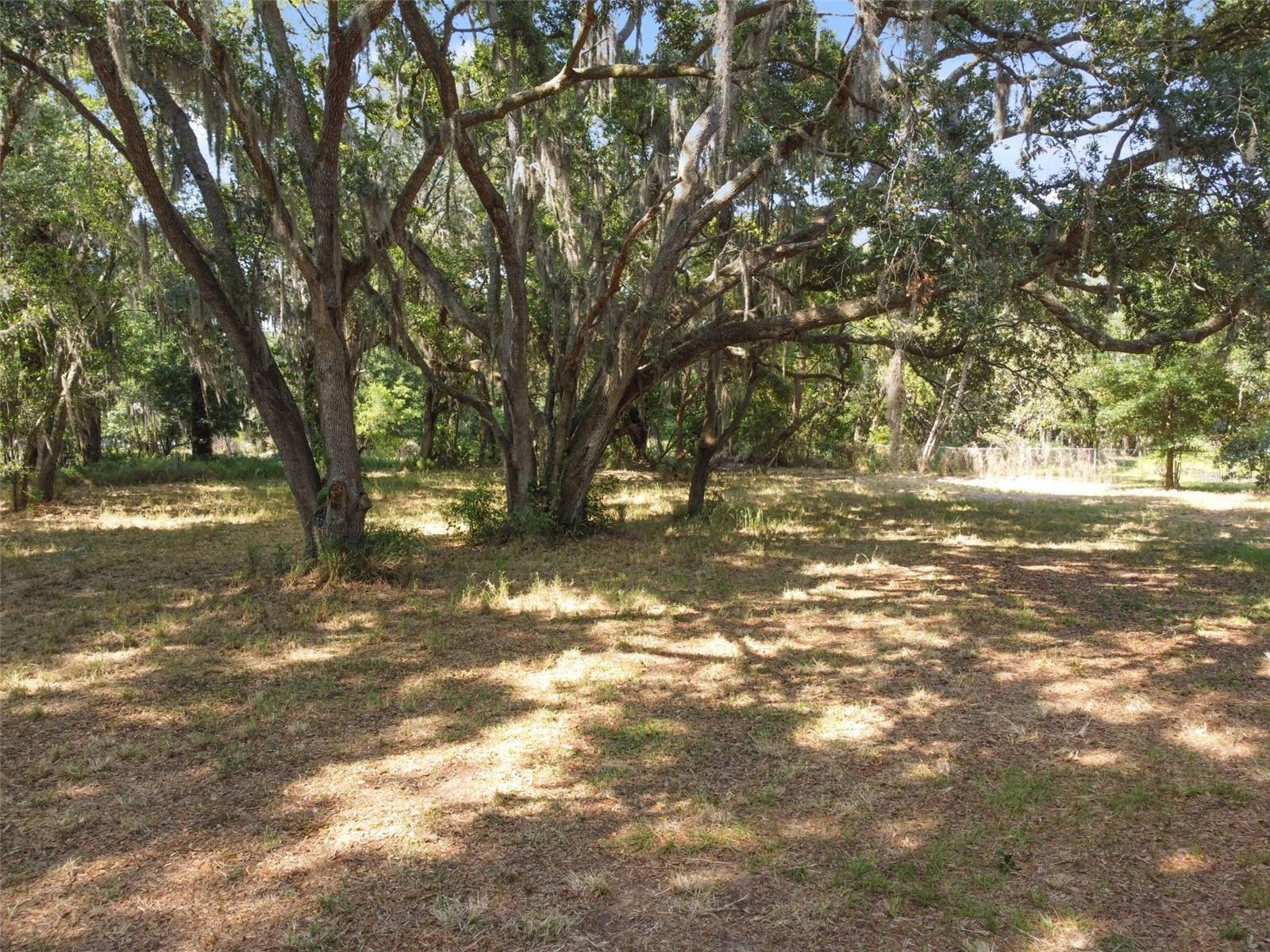 8221 Carey Road