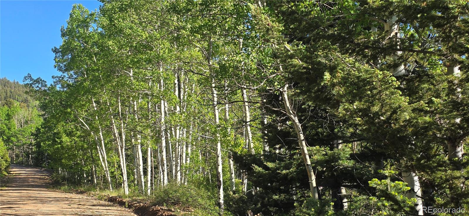 Lot 6385 Jaquez Road