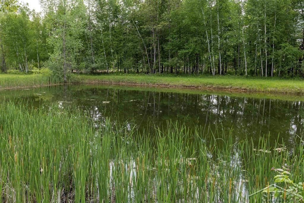 OUTDOOR HEAVEN ON HIGHWOOD RD! 80 acres to roam, hunt and play in Buckeye Twp which is in the heart of Triple H QDM Co-op area. This is a four season recreational dream with plenty of deer, turkey, rabits, squirel, grouse and an occasional bear. The property has been select cut under the direction of a forester and enrolled in the QFP (quality forestry program) meaning really cheap taxes (approximately $1550 yearly). Gas wells produce about $3000 yearly, so it will pay your taxes and leave leftover money for your pocket. All the Oak, Birch and Pine was left and in 12-24 months you will see significant regeneration that the wildlife love! Call today for your private showing!