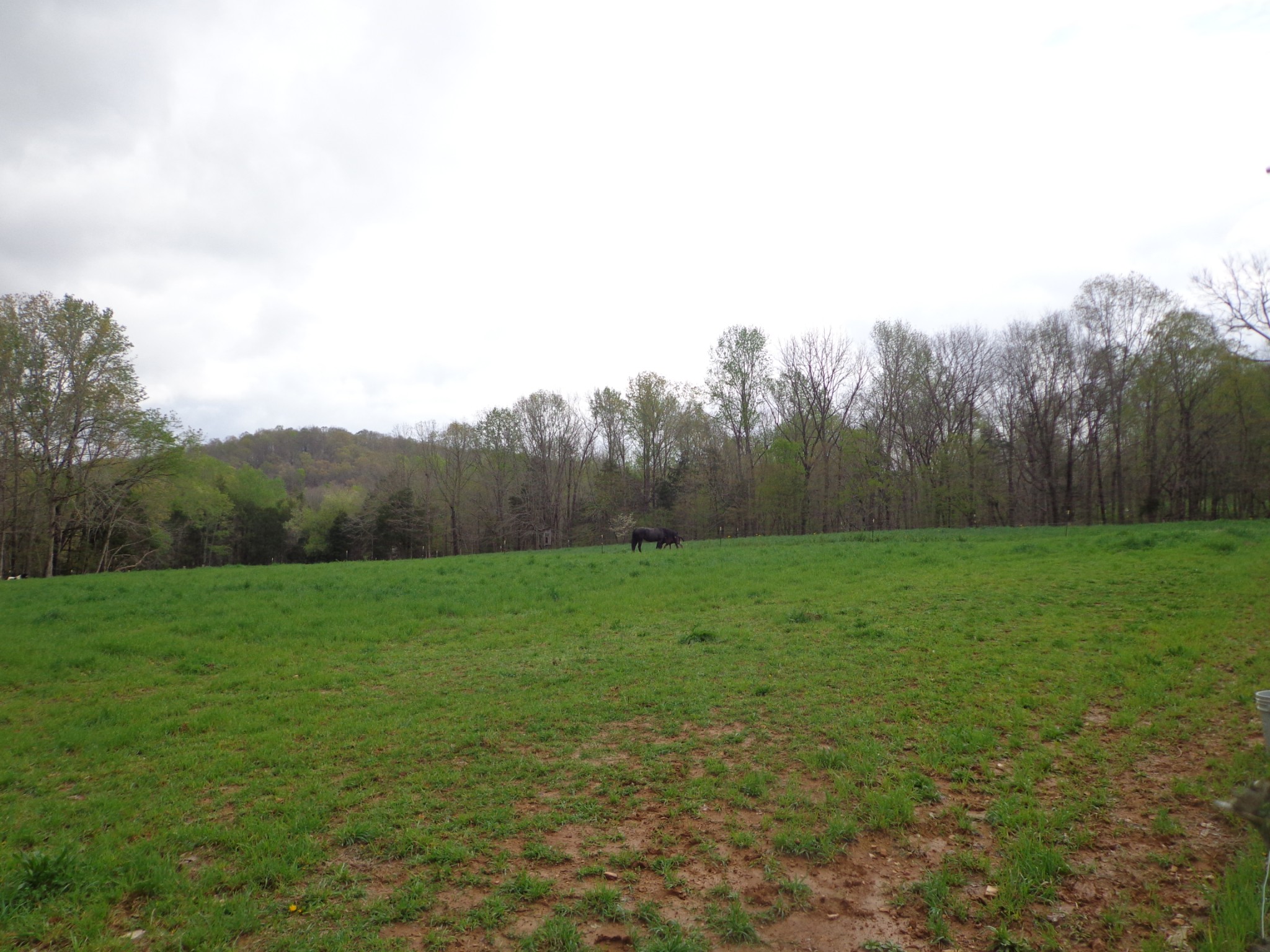 1398 Gilmer Bridge Rd