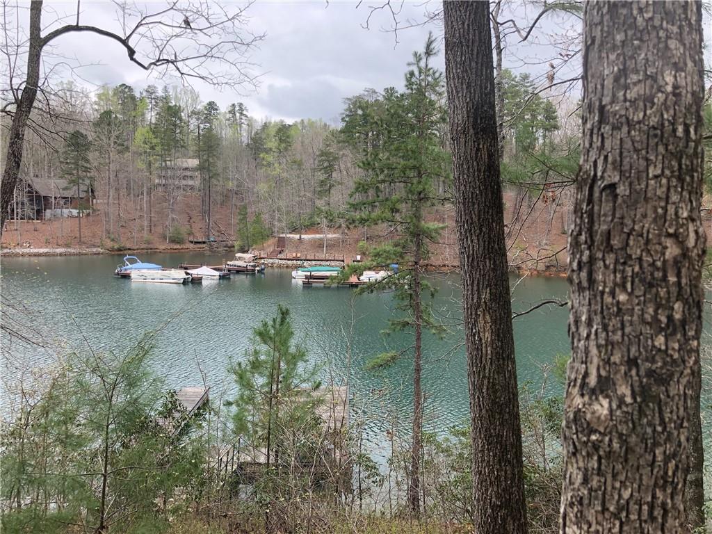 Lake Keowee Homes and Land for Sale
