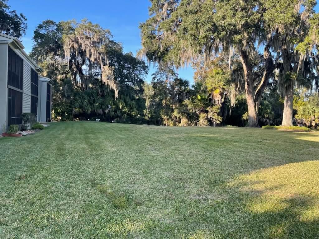 310 NE Palm Coast Parkway 203