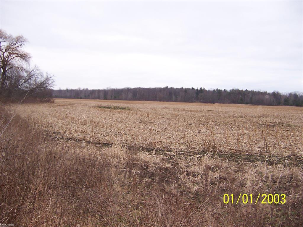 Residential Land Zoned R-1 ready for development. Over 75 acres with updated sewer and water. Close to I-69, I-94  schools and shopping. Great investment property. Survey online. Must be with a Licensed Real Estate Agent.