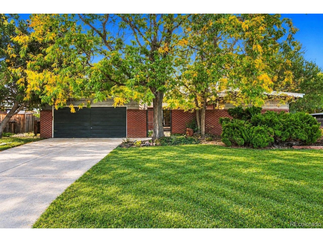 Mid-century modern charm meets comfortable ranch-style living in the heart of Applewood! This inviting 4-bedroom, 3-bathroom home offers a spacious, versatile layout with multiple living areas, including two on the main level and an additional living space downstairs. A charming courtyard-style entrance welcomes you with a cozy deck that opens directly into the main living area, creating a unique indoor-outdoor connection. Inside, you'll find a recently updated kitchen with an eat-in dining area, a separate formal dining room, and plenty of space to entertain or simply spread out. The primary bedroom features its own ensuite bathroom, while the home's thoughtful layout offers flexibility for a variety of lifestyles. Outside, the expansive, fully fenced lot is surrounded by mature trees, offering privacy, shade, and room to enjoy Colorado's beautiful weather. A newly poured concrete patio provides the perfect setting for outdoor dining, entertaining, or relaxing in the backyard. With its distinctive mid-century character, generous living spaces, and established Applewood setting, this home offers a wonderful combination of style, comfort, and functionality.