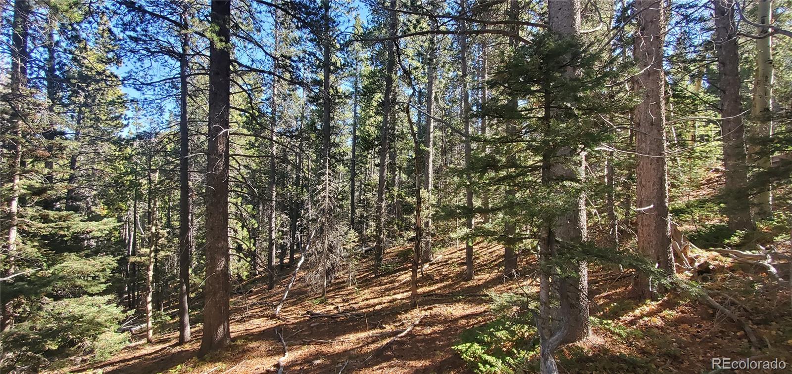 Lot 3023 & 3024 Bolwell Lane