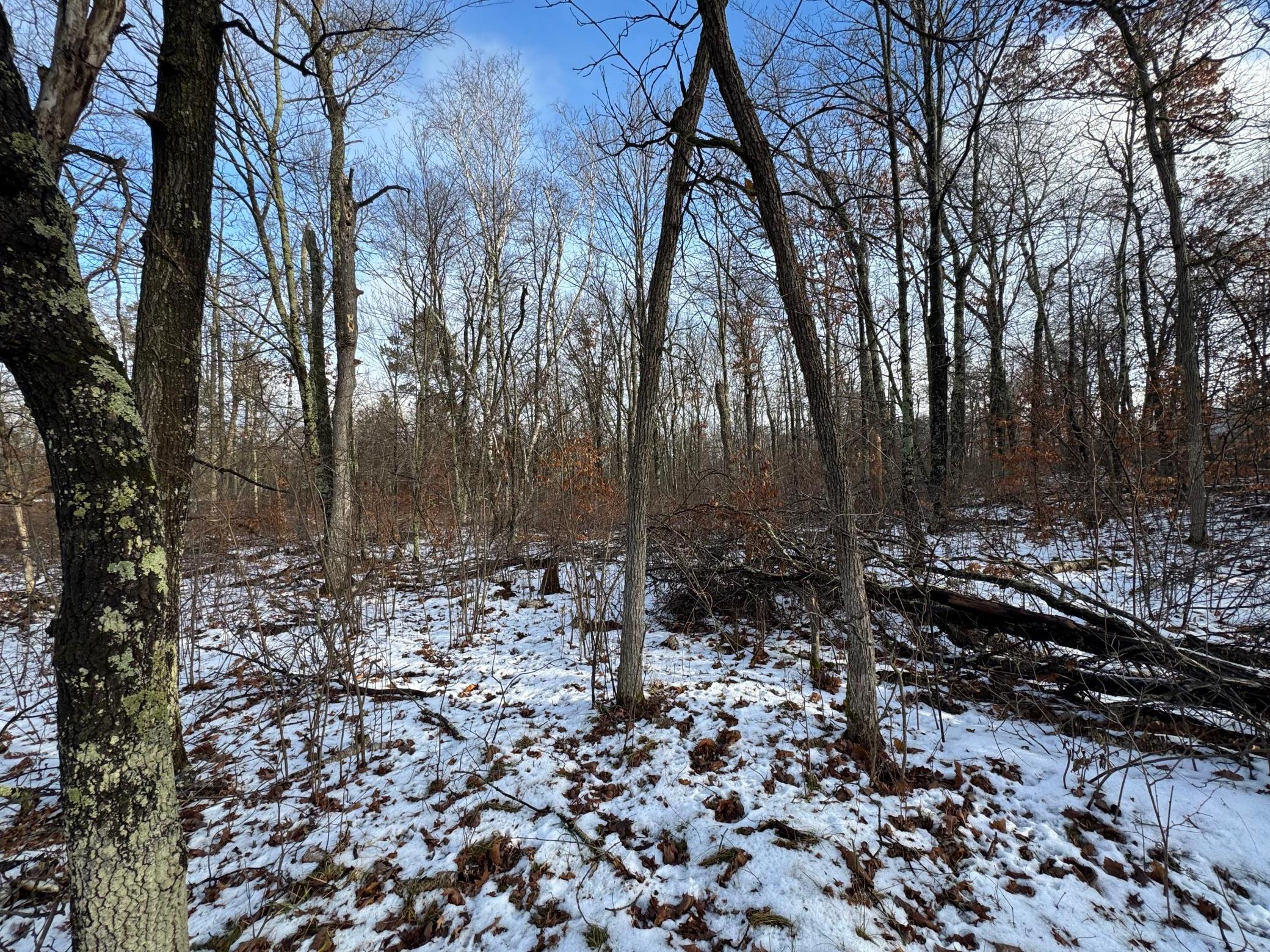 Lot 43 Ranchette Drive