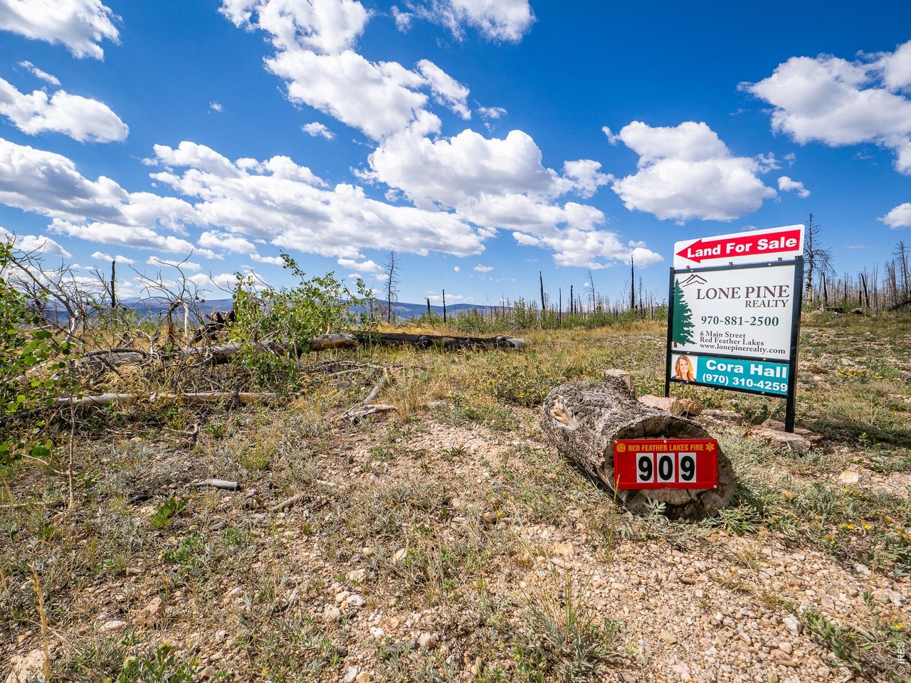 909 Forest Road 171