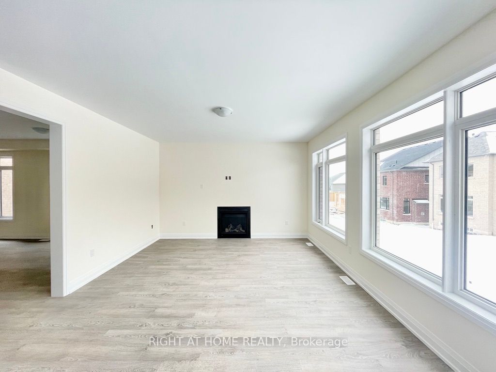 48 Daisy St