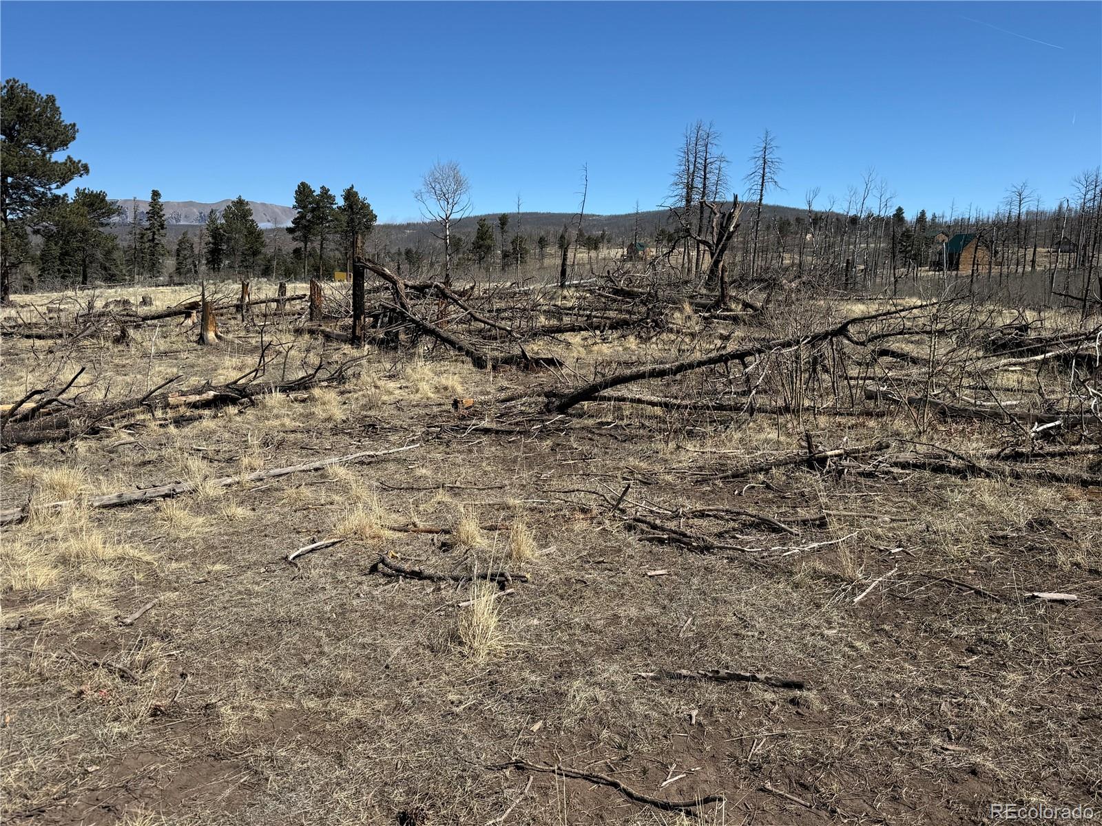 Lot 999 Foy Place
