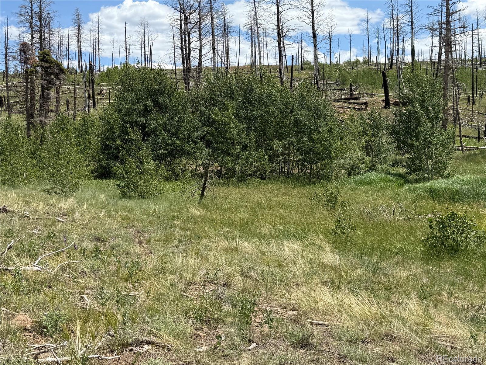 Lot 1103 Emery Loop