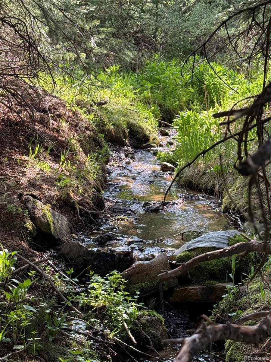 Lot 6843 Ryland Road