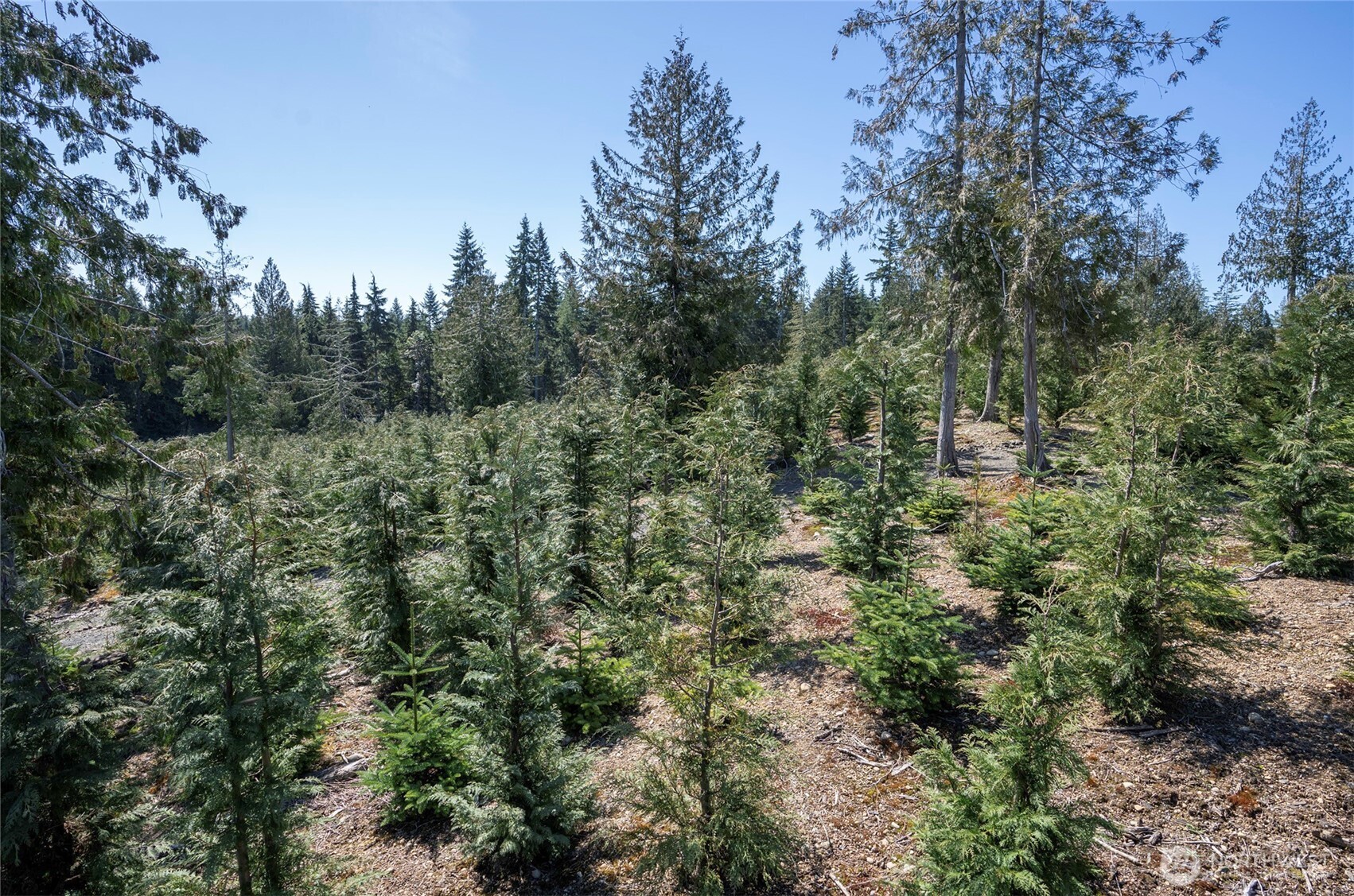 1800 E Harstine Island Road N