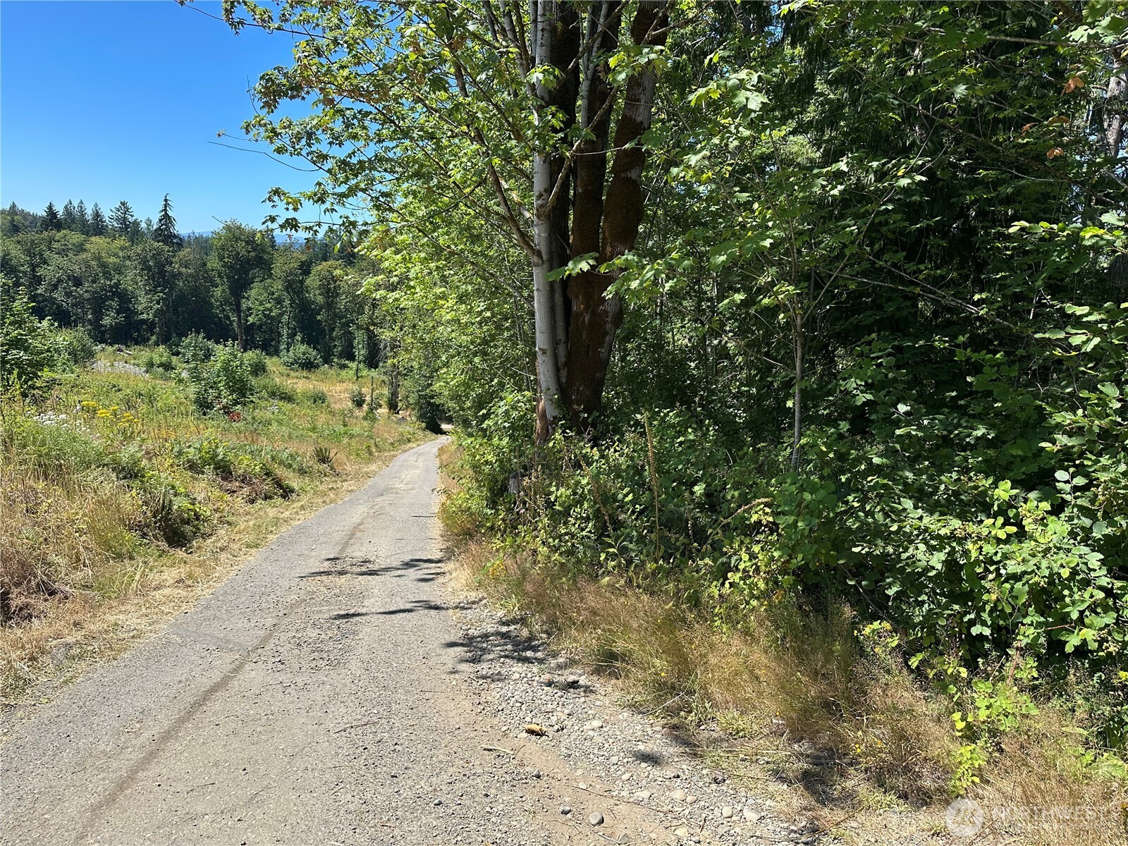 0 Hippie Hill Road