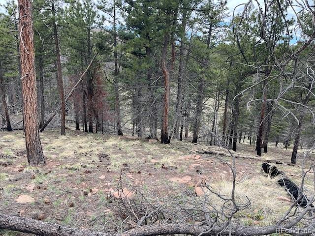 Lot 513 Leslie Loop