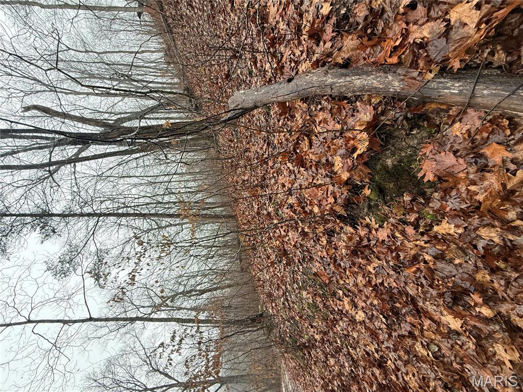 0 Peninsula Trail