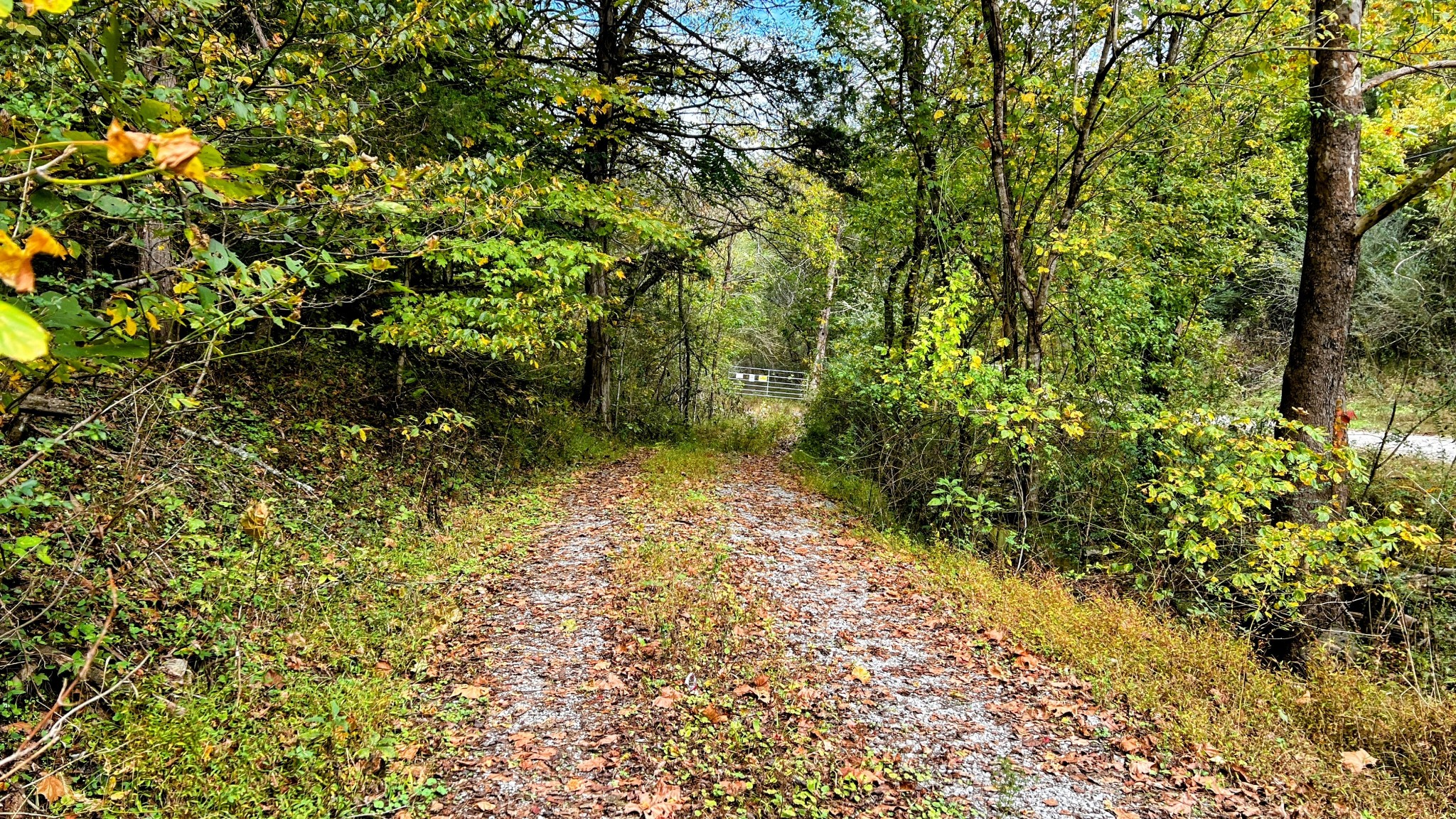 441 Pumpkin Hollow Rd