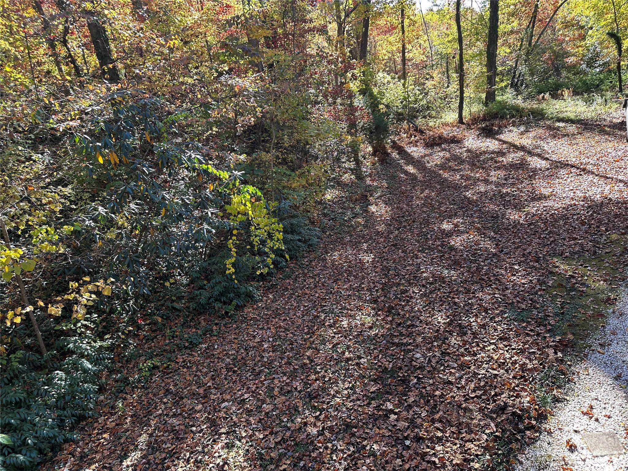 1305 Hibriten Drive