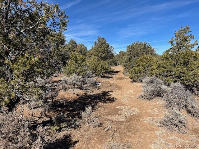 Lot 3 Ravenwood Lane