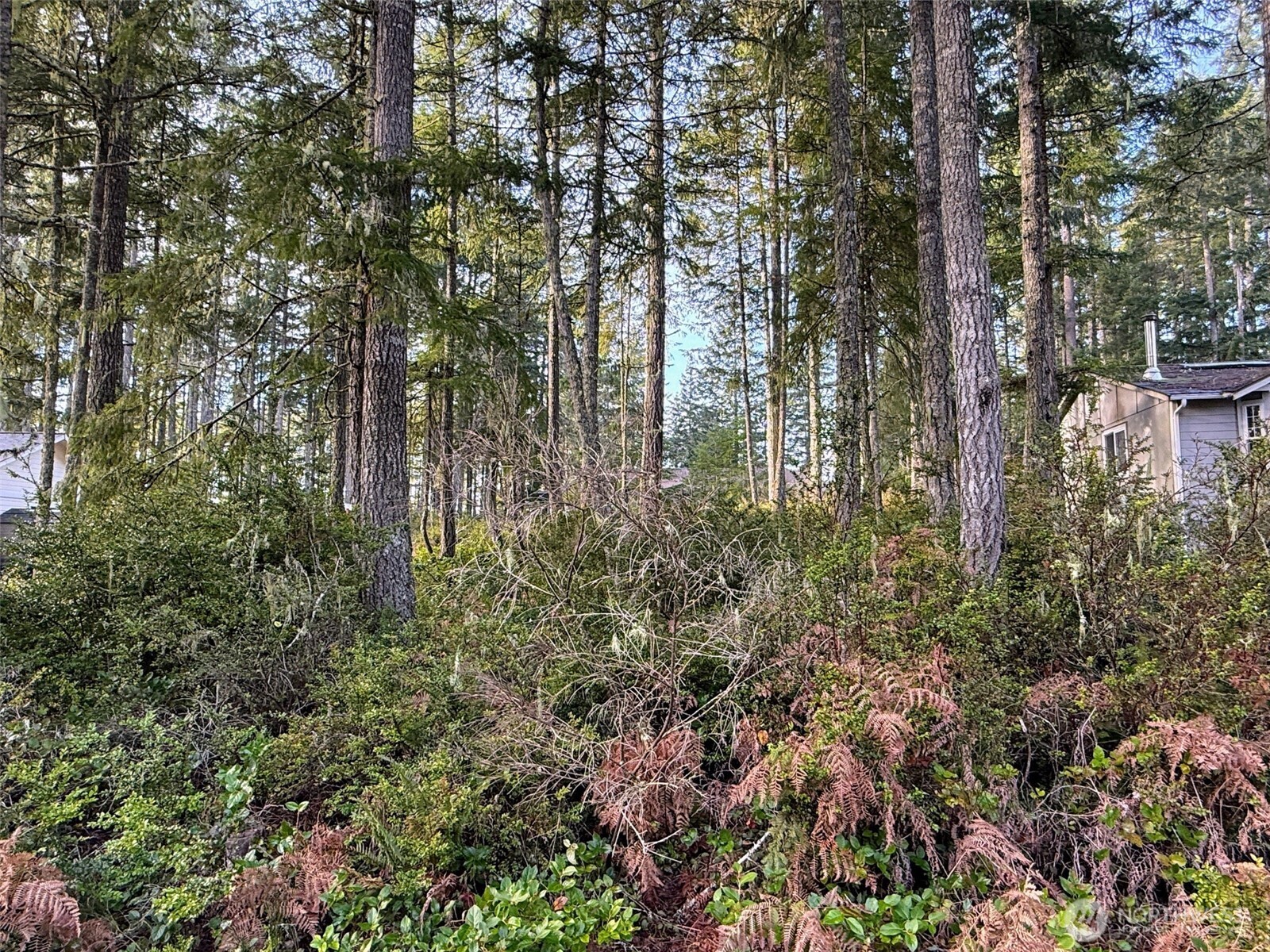 40 E Paint Brush Lane